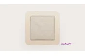 Mepilex Border Ag antimicrobial bordered foam dressing